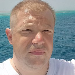 �������, �����������, 40 ���