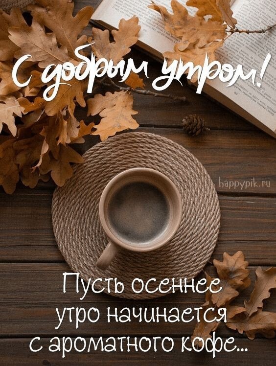   ,    . - 6  2025  08:52