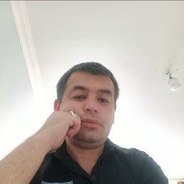 �����, 38 ���, �����������