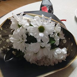 ���� �����, �������, 52 ���� - ��������� 15 ��� 2026