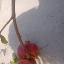 ���� ����, �������, 39 ��� - ��������� 24 ������� 2023 � ������ ���� ����������