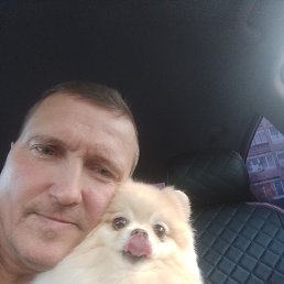 , 50, 