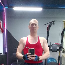 ������� ���������, 46 ���, ������