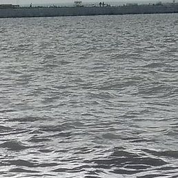 ��������, ������, 62 ����