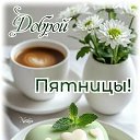 ���� �������, �������� - ��������� 15 ��� 2026 � ������ ������ ��������