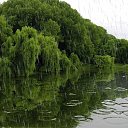 ���� �������, ������, 51 ��� - ��������� 17 ������ 2024 � ������ ���� ����������