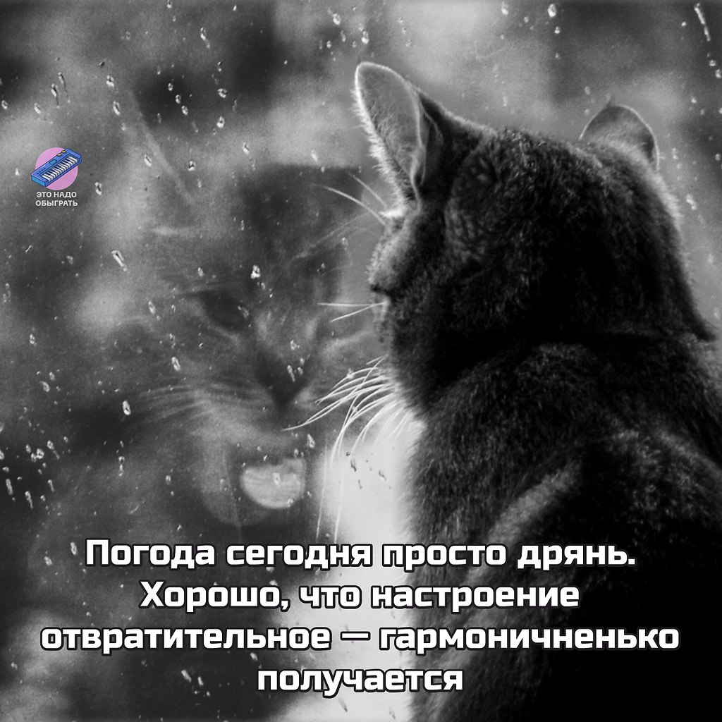 ОБО ВСЕМ - 24 октября 2025 в 14:31