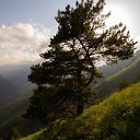 ���� Bvarch, �����, 37 ��� - ��������� 4 ������� 2026