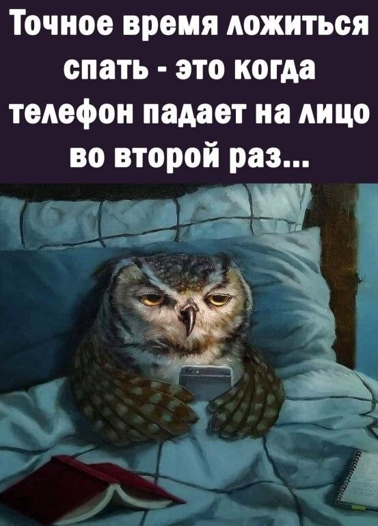   - 25  2025  23:56