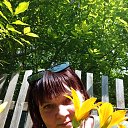 ���� �������, ������������, 55 ��� - ��������� 14 ���� 2025 � ������ ���� ����������