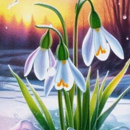 ����, �������