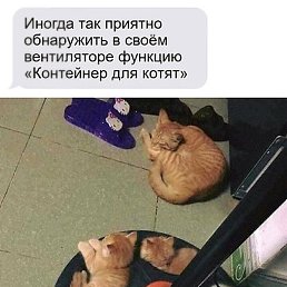 ����, ������, 20 ���