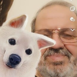 ���� Remzi, �����-���������, 67 ��� - ��������� 14 ������� 2024