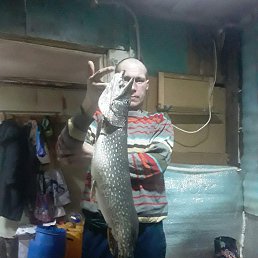 ���� ��������, ���������, 38 ��� - ��������� 15 ������� 2025