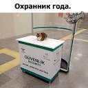���� ����, ��������� - ��������� 17 ������� 2025 � ������ ������ ��������