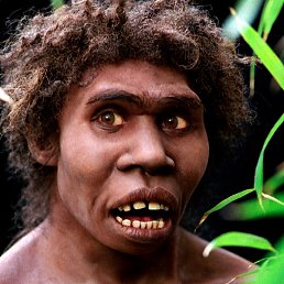 �������, ������, 44 ����