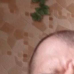 ���������, ������, 61 ���