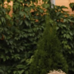 ���� �������, ����� - ��������� 12 �������� 2025