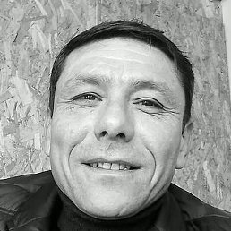 ������, ����������, 39 ���