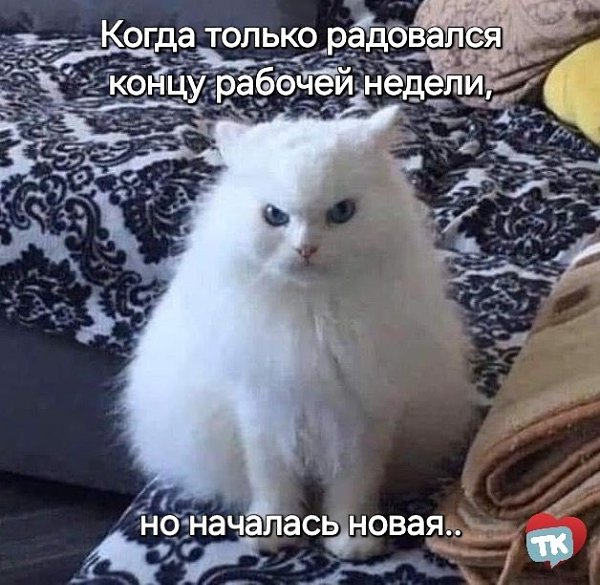 Доброе утро, Киров. Сегодня облачная погода, снегТемпература воздуха утром -14, -16 °C, днём -5, -7 ...