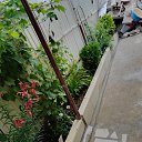 ���� �������, ������� - ��������� 20 ������� 2023 � ������ ����