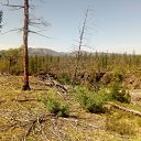 ���� �����, �������, 46 ��� - ��������� 15 ������� 2025 � ������ ���� ����������