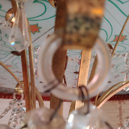 ���� �������, ������, 54 ���� - ��������� 13 ������� 2024