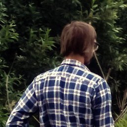 ������, ������, 65 ���