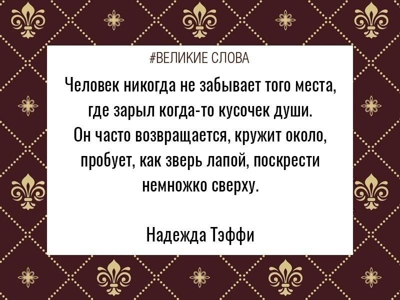 ������� ����� | ������, ����� � �������� - 19 �������� 2025 � 19:35