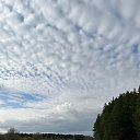 ���� ����