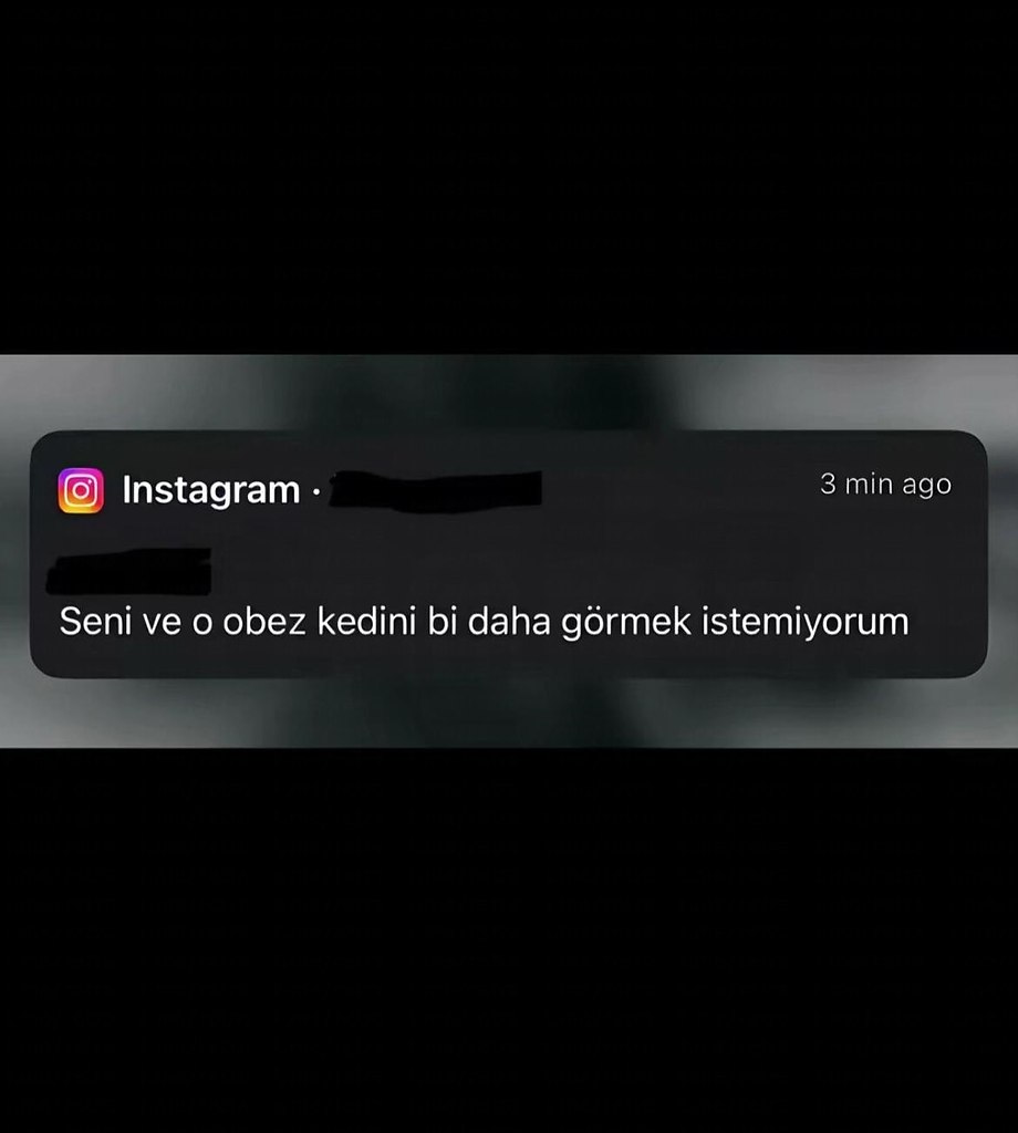 ������ ����������� ��������� ��������� �� ����� ������ �������, ��� ��� ��������: � ������ �� ���� ...