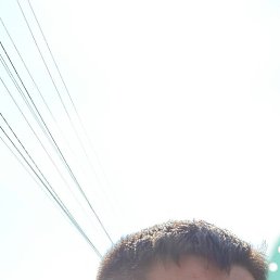 �����, �������������, 33 ����