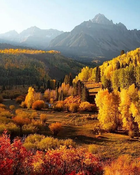    .      .  ,   ... - 2