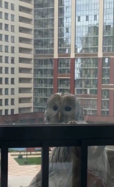 ���� �� ��������� ��������� � �������.�������, � �� ������������ ���� ����� ���������. ����� ����� ...