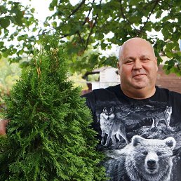 ������, 48 ���, ���������