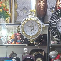 ���� ��������, �����-���������, 46 ��� - ��������� 15 �������� 2025