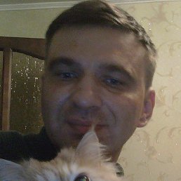 ������, ������, 53 ����