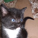 ���� Vladimir, ������, 68 ��� - ��������� 26 ������� 2023 � ������ ���� ������� ������ - ������!�