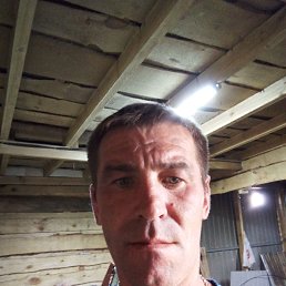 ���� �������, ������, 42 ���� - ��������� 12 ������ 2024