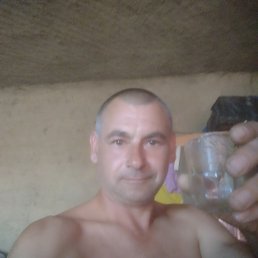 ���� �������, ������, 44 ���� - ��������� 2 ������ 2025