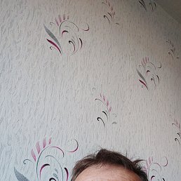 ������, 65 ���, ������