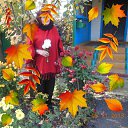 ���� ������, ����������� - ��������� 5 ������ 2025 � ������ ���� ����������