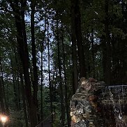 ������, 37 ���, ������-���