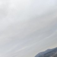 ����������, 37 ���, �������