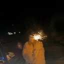 ���� ���������, ������, 33 ���� - ��������� 26 ����� 2025 � ������ ���� ����������