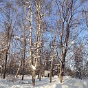 ���� �����, ������ - ��������� 19 ������ 2026 � ������ ���� ����������