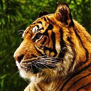 ���� ������, ������, 45 ��� - ��������� 20 ������� 2024