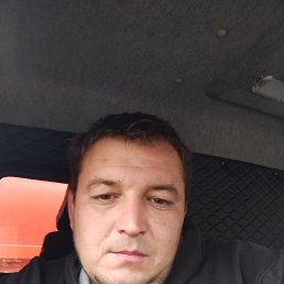 , 29, 