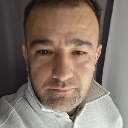 ����, �����-���������, 37 ���