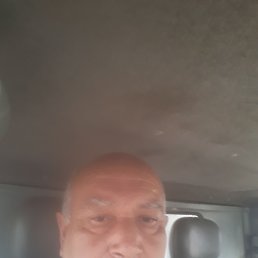 , 53, 